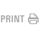 Print Page